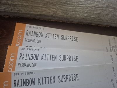 Rainbow kitten surprise