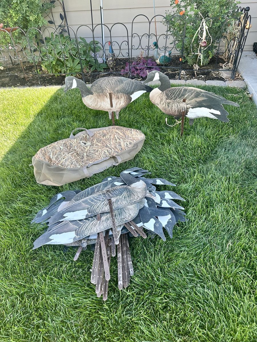 Outlaw silo goose decoys