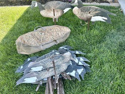 Outlaw silo goose decoys