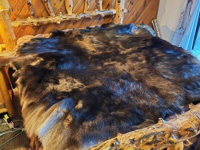 Professionally Tanned Large Utah Moose Hide