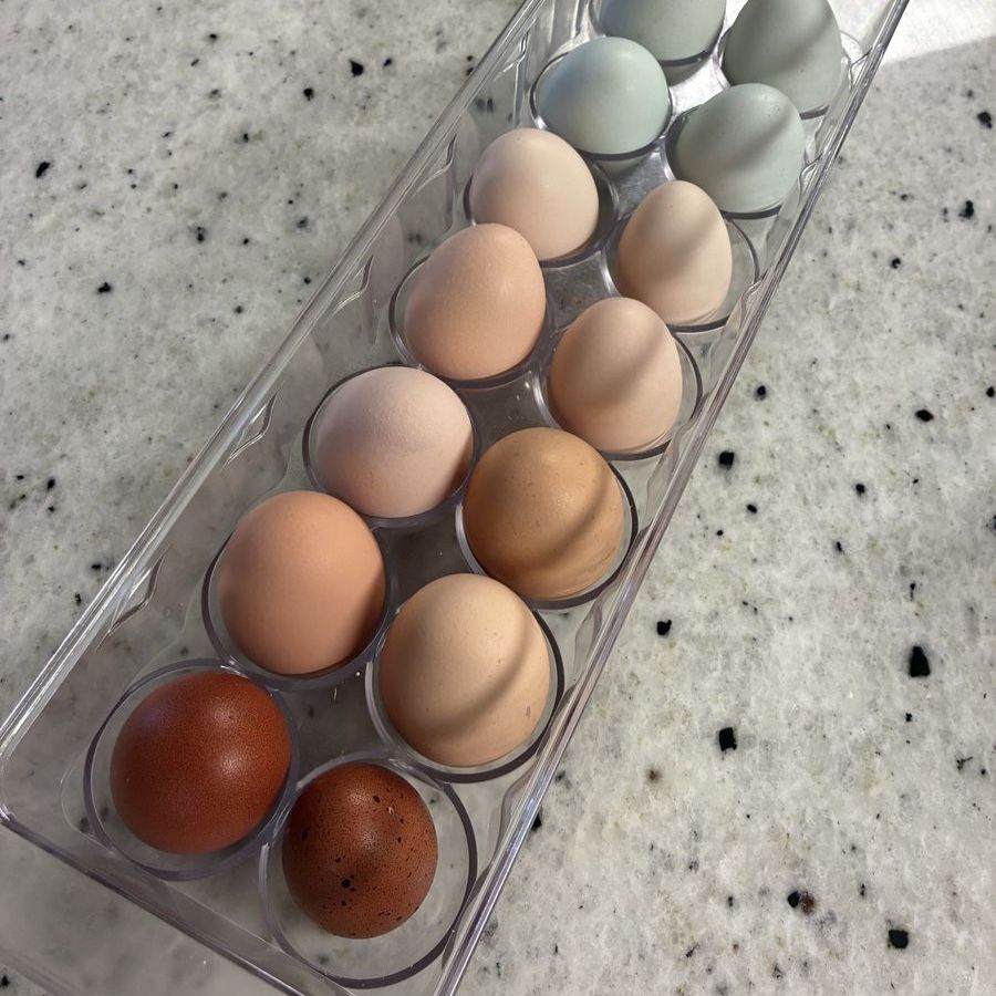 Fresh eggs