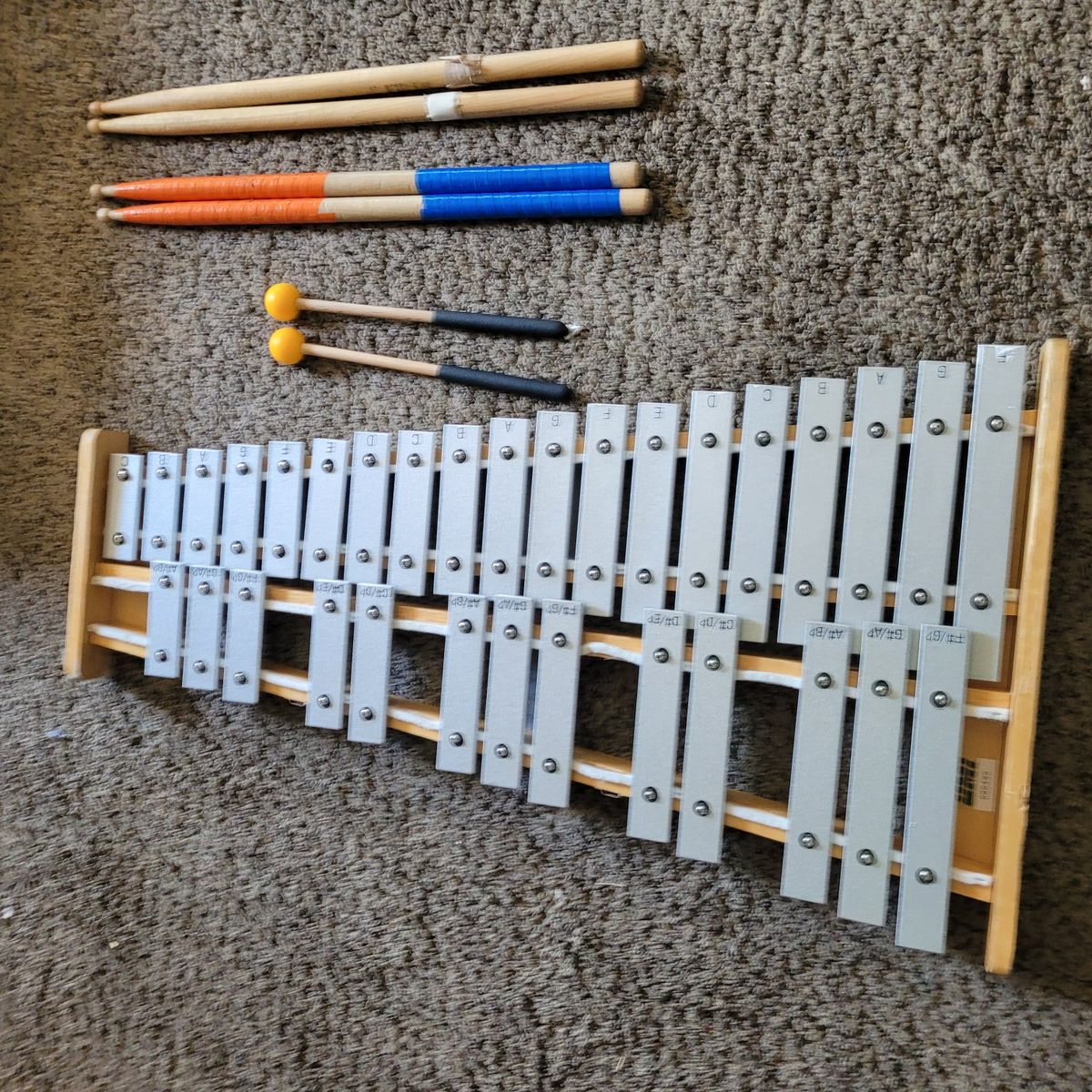 ProTec Percussion Student Bell Kit Glockenspiel Practice Pads Sticks Mallets Case