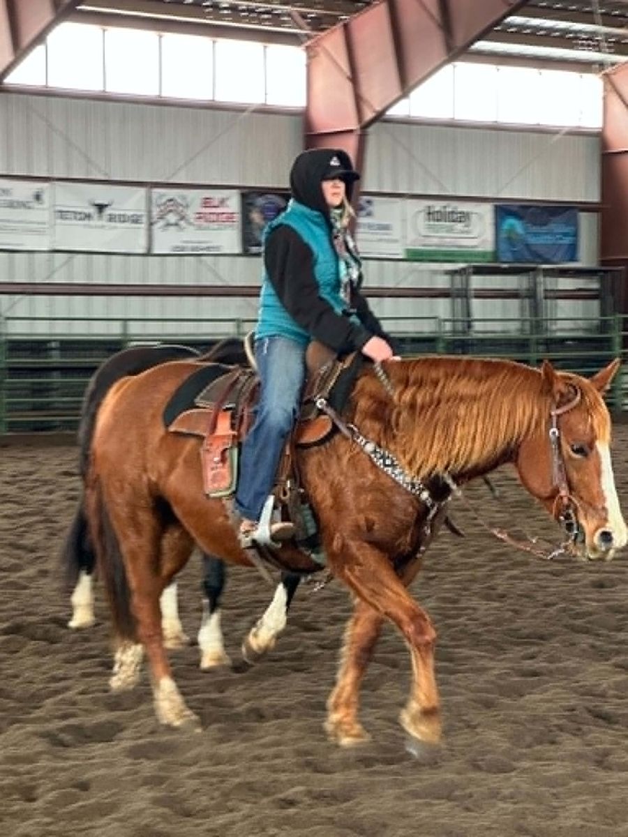 Rosie 2018 AQHA Sorrel Mare - All Around!