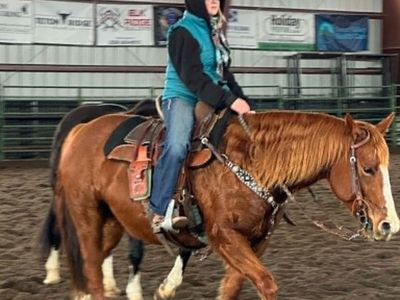Rosie 2018 AQHA Sorrel Mare - All Around!