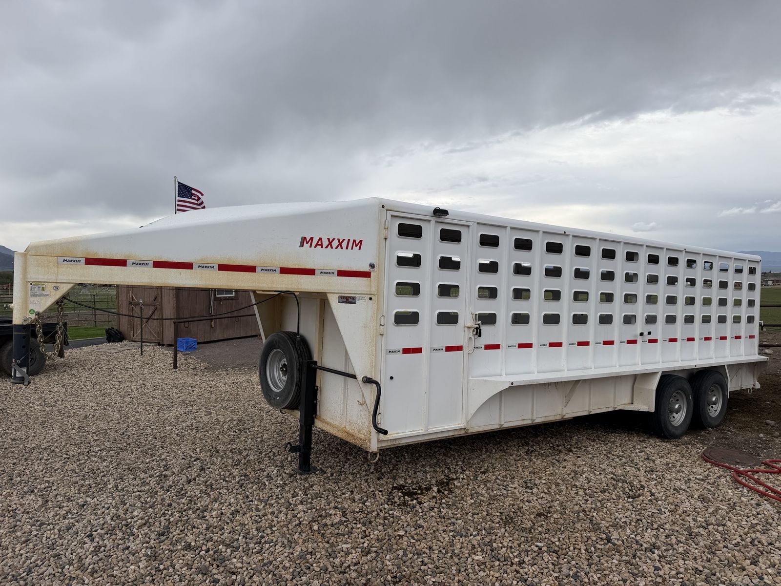 2024 Maxxim (Eagle)