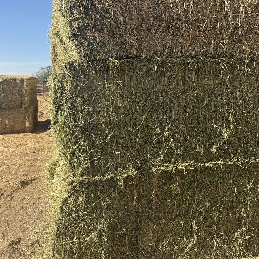 3x4 Alfalfa Hay
