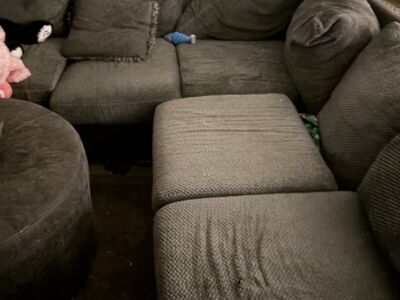 Large “U” shaped sectional. Damage from dogs