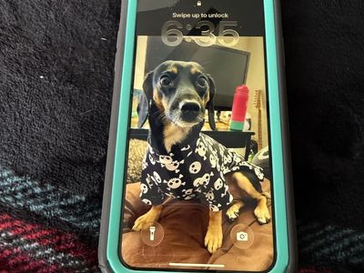 Iphone 11 126 Gb Unlocked