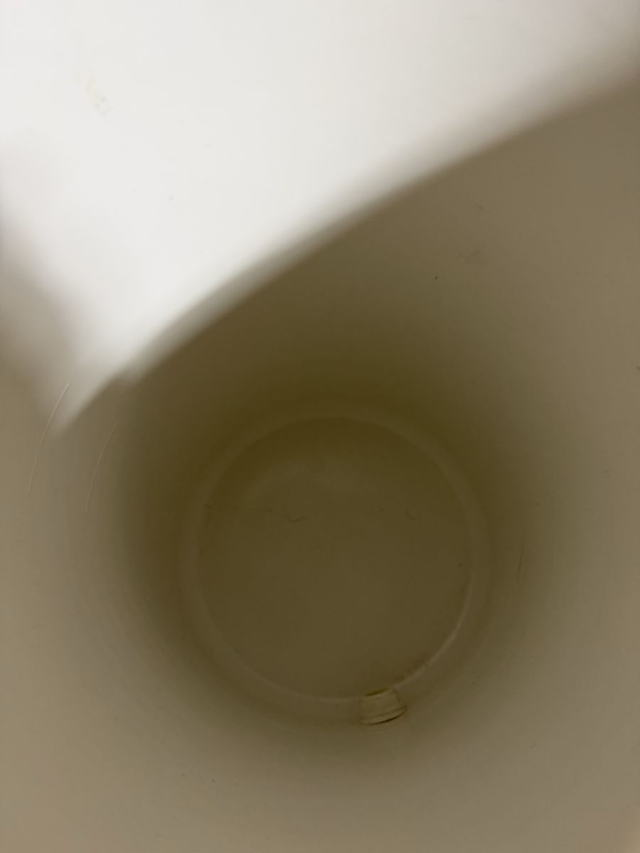Main image 2