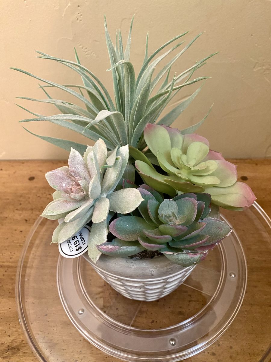 Artificial Succulent Arrangement in Honeycomb Pot - Home Decor Floral Display - C PIX