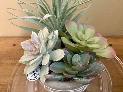 Artificial Succulent Arrangement in Honeycomb Pot - Home Decor Floral Display - C PIX