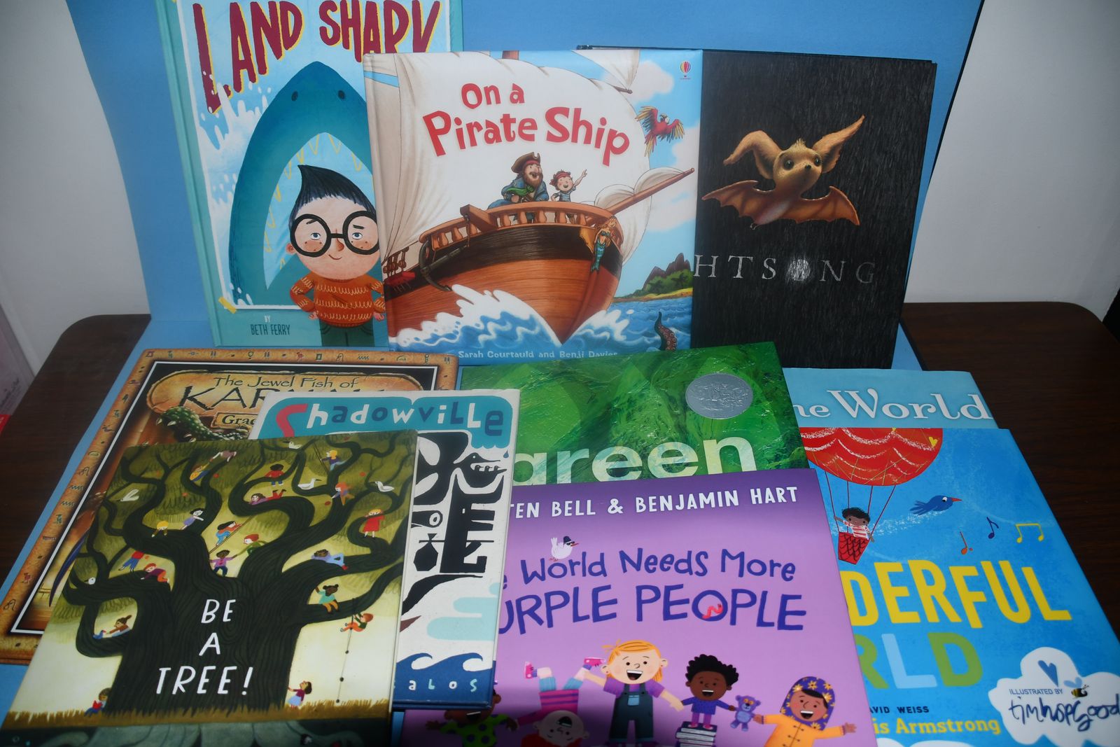 10 CHILDREN'S HARDCOVER BOOKS ~ NO NAMES or WRITING ~ PIRATES, WONDERFUL WORLD, PURPLE PEOPLE ~ ALL FOR $10