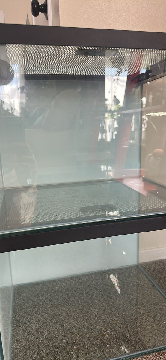 Glass Enclosure / Reptile Tank / Terrarium