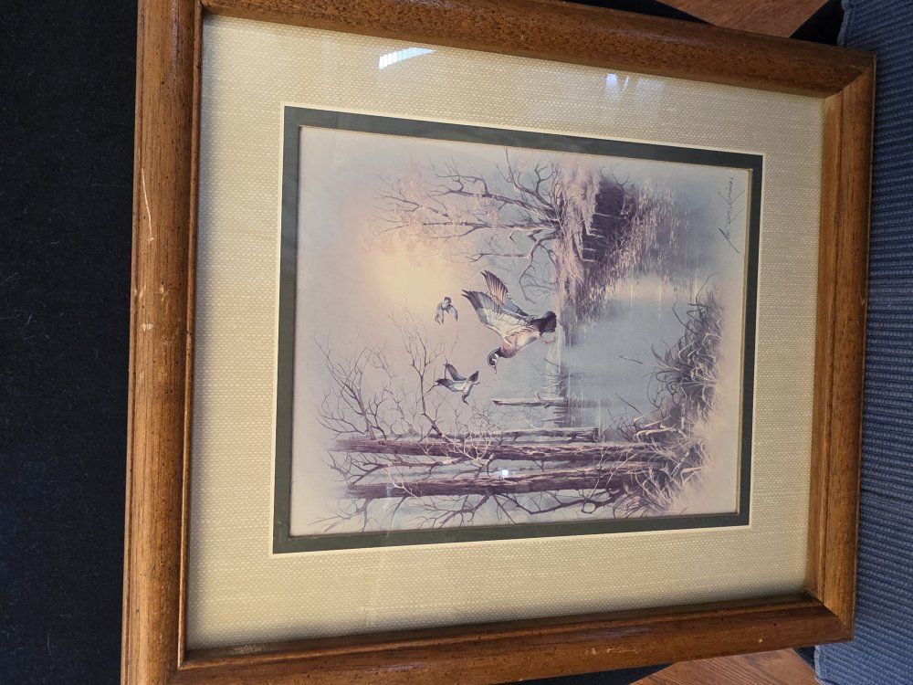 Vtg used Flying Ducks Pictures