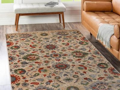 8' x 10' Superior Indoor Large Area Rug, Jute Backing Rugs for Living Room, Dining Room,