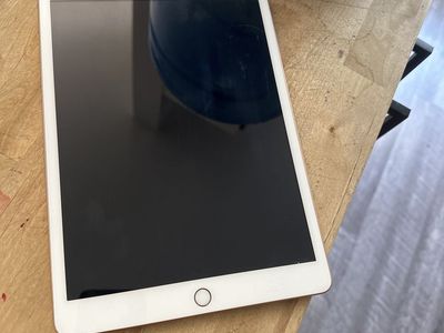 7th Gen iPad