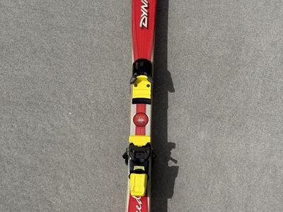 Kids skis 110