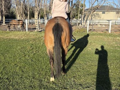 Dun Mare