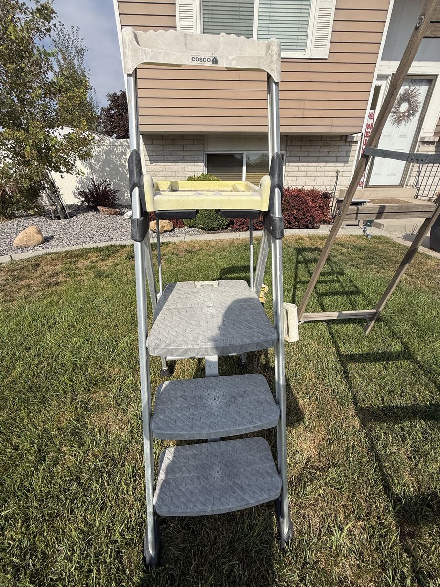 Cosco Step Ladder