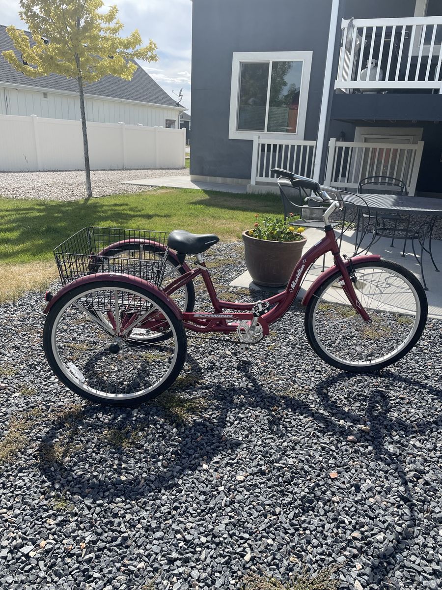 3 wheel adult tricycle