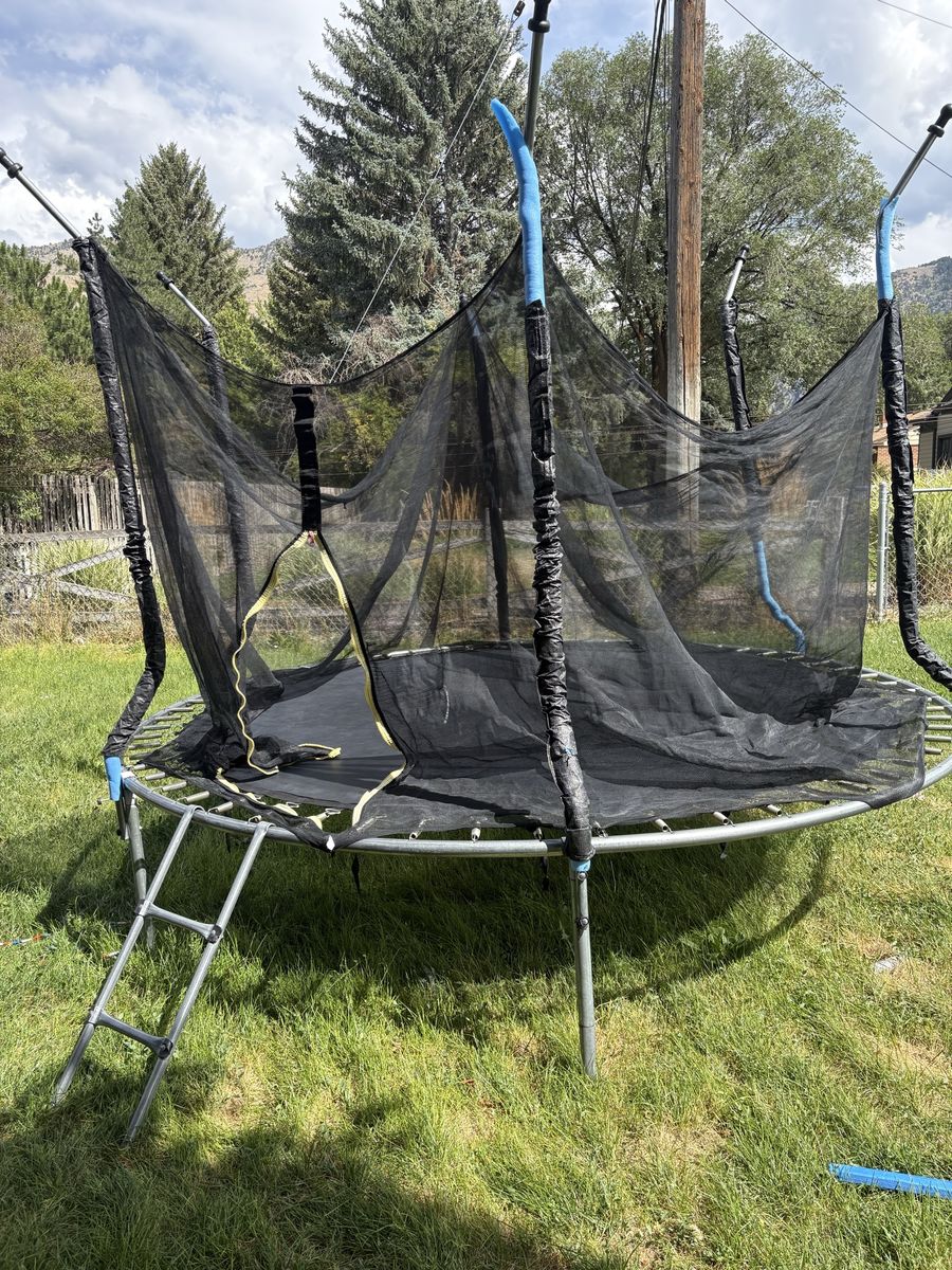 Outdoor Backyard Trampoline with Safety Enclosure Net and Ladder