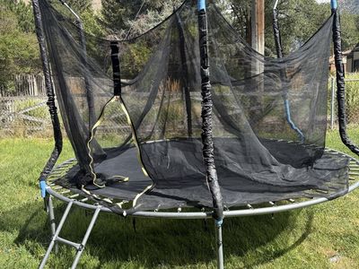 Outdoor Backyard Trampoline with Safety Enclosure Net and Ladder