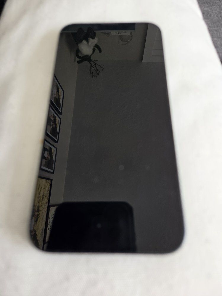 unlocked iPhone 13. 128 GB.  Black. Also apple watch for additional cost.