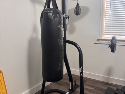 Everlast Heavy Bag & Speed Bag Stand with Bags - Boxing Training Station