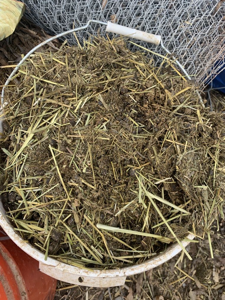 Amazing Bunny Poop Compost