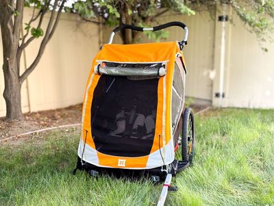 Burley D’Lite Baby Child Kid Double Bike Trailer Stroller