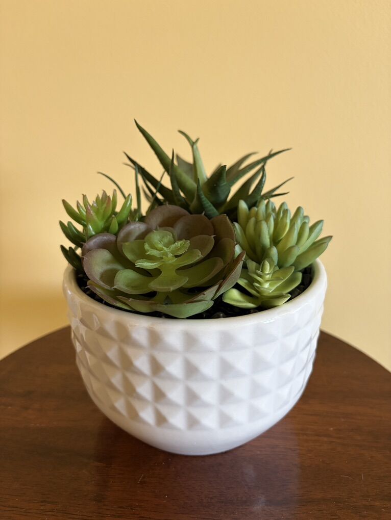 Fake succulent planter - new