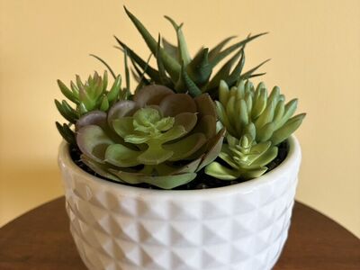 Fake succulent planter - new
