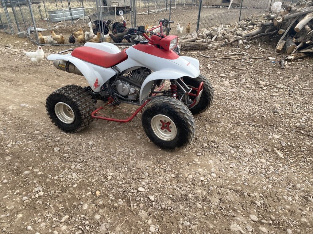 1987 Honda Trx 250 x