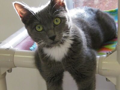 Hello my name is Ettie