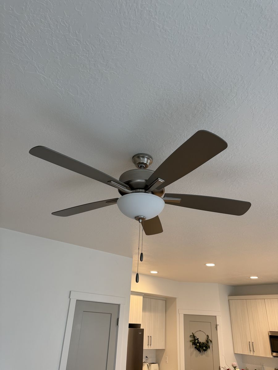 Ceiling Fan With Lights