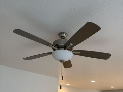Ceiling Fan With Lights