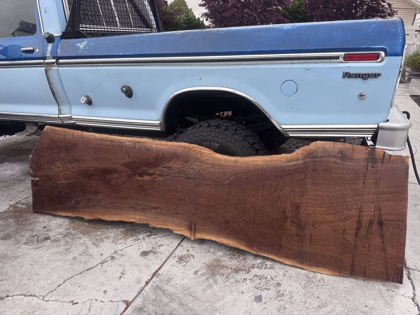 Black walnut live edge