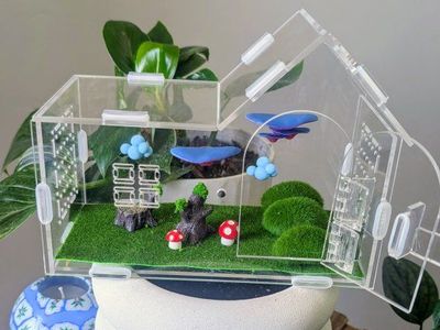 Jumping spider enclosure, jumping spider terrarium. Acrylic house and accessories. No spider