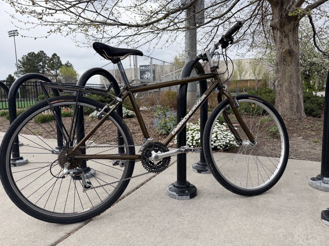 Vintage Diamondback Sorrento