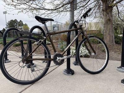 Vintage Diamondback Sorrento