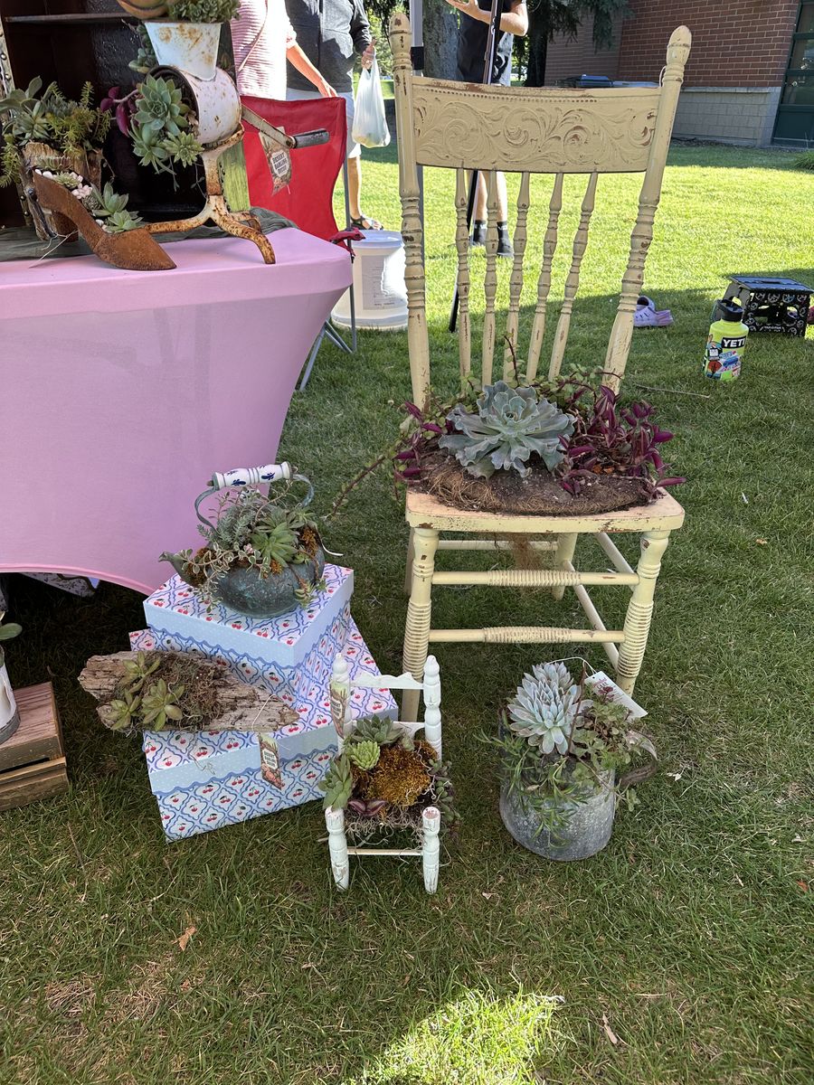 Succulent Arrangements Springville Farmers Market