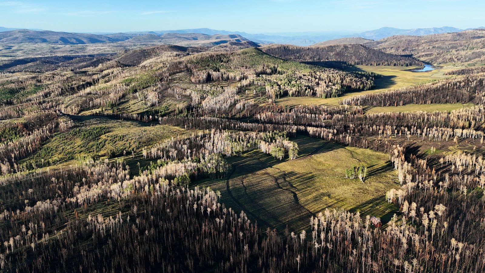 The Elk Pasture Ranch