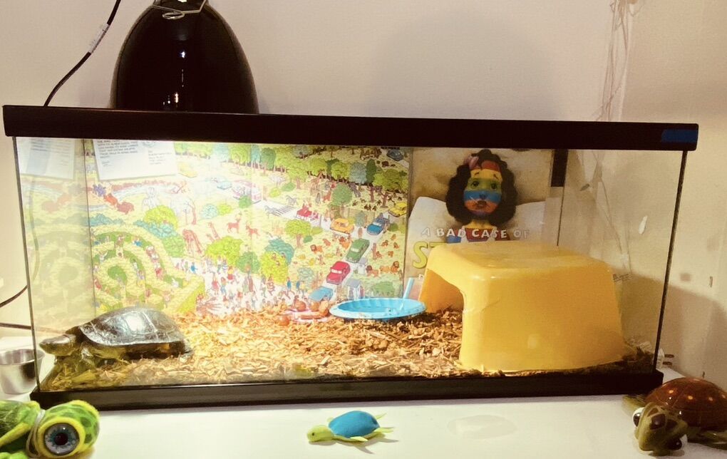 Used Good Condition Turtle AquArium