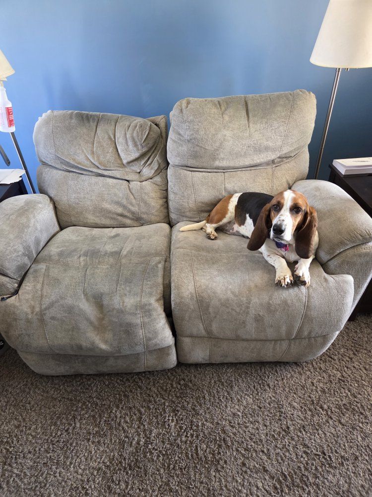 Light Green Fabric Reclining Loveseat  2-Seater