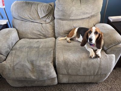 Light Green Fabric Reclining Loveseat 2-Seater