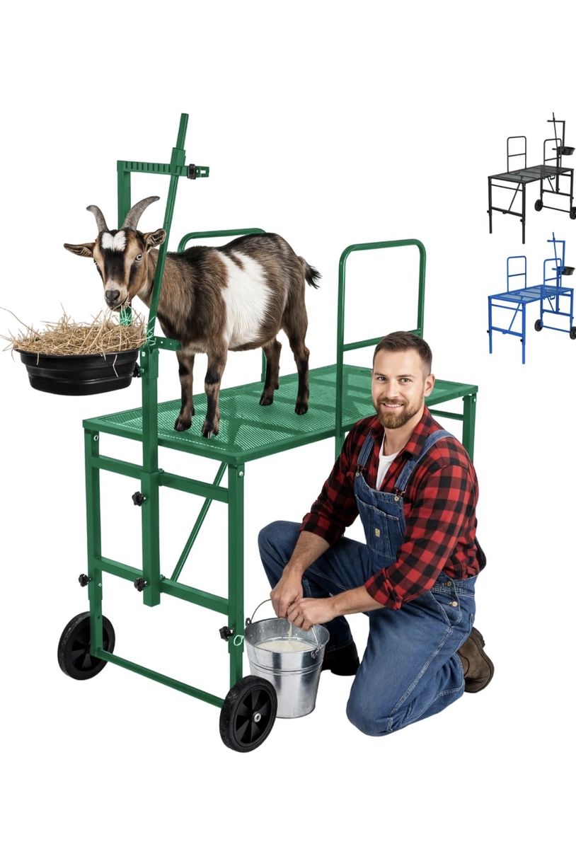 Goat Stand with Adjustable Headpiece & Legs, Goat Milking Stand with Feeder, Rails & Wheels, Stanchion for Grooming & Hoof Trimm
