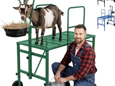 Goat Stand with Adjustable Headpiece & Legs, Goat Milking Stand with Feeder, Rails & Wheels, Stanchion for Grooming & Hoof Trimm