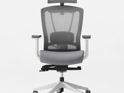 Autonomous ErgoChair Pro Office Chair | Ergonomic Mesh with Headrest and Lumbar Support in Grey