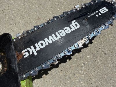 Green works pole saw