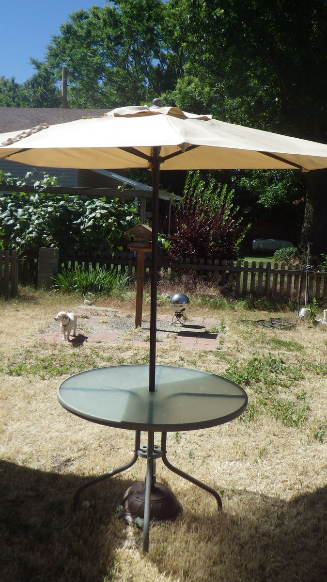 Glass patio table & umbrella.